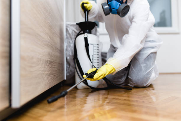 Best Bed Bug Extermination  in Piedmont, CA
