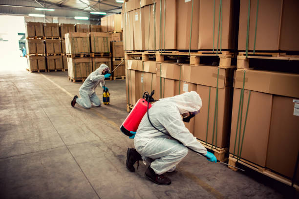 Best Best Pest Control Companies  in Piedmont, CA