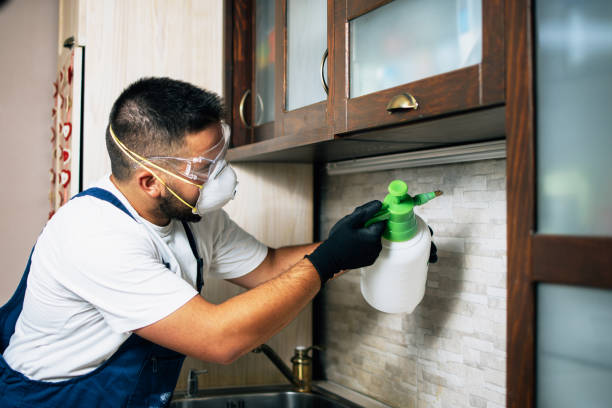 Piedmont, CA Pest Control Company