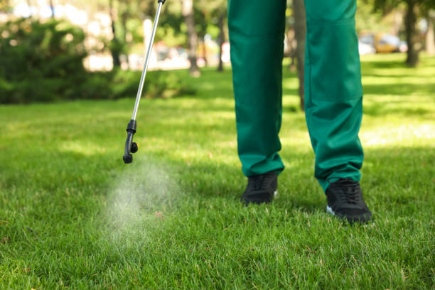 Best Pest Prevention Services  in Piedmont, CA