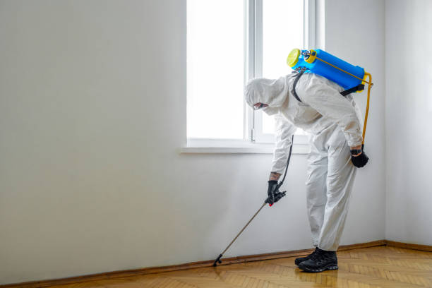 Best Flea Control Services  in Piedmont, CA
