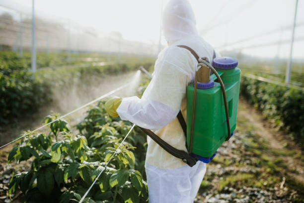 Insect Control in Piedmont, CA